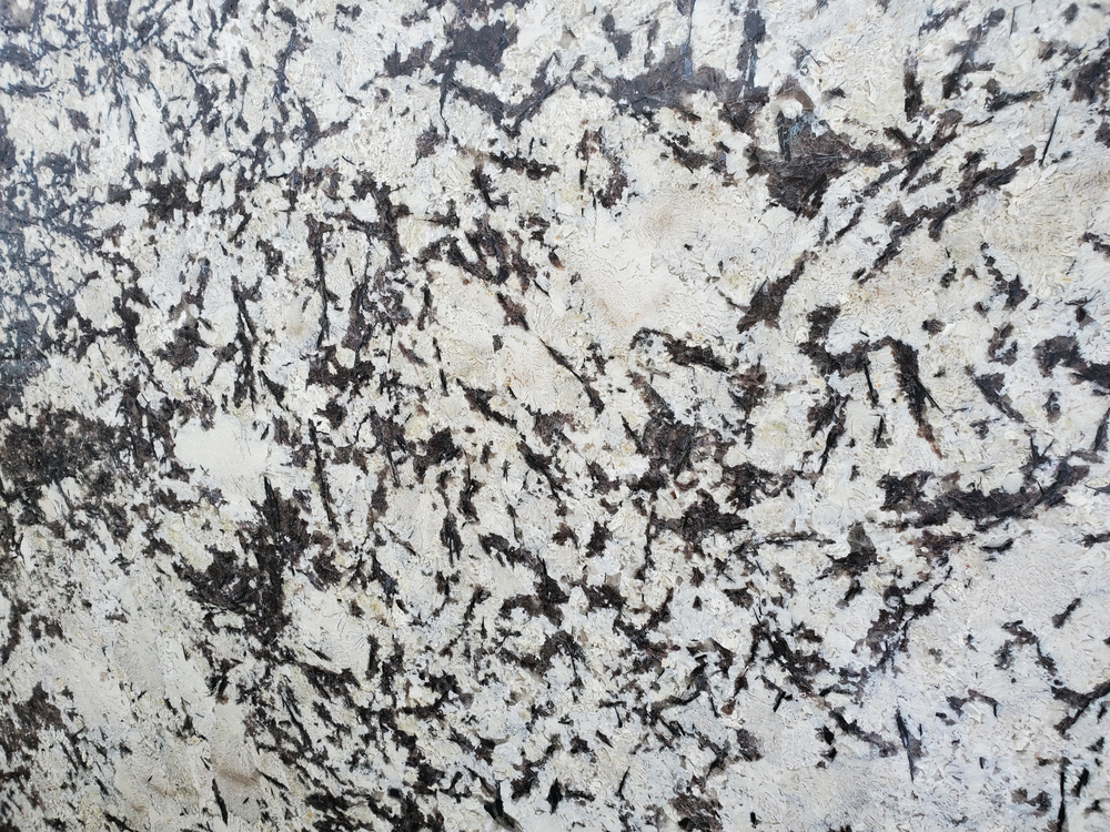 Image Delicatus White