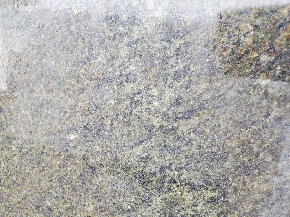 Image Seaweed Green
