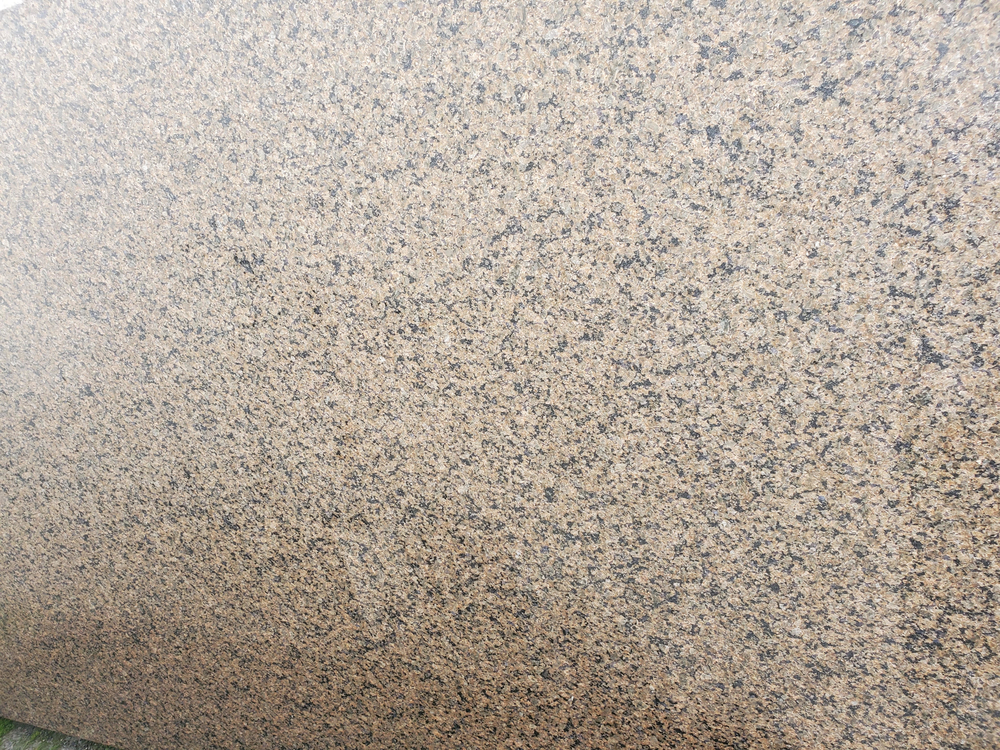 Image Tropical Brown